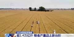 <b>2024年终察看丨本年我国粮食产量初次冲破14万亿</b>