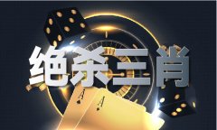 偷码奇人一九成是什么数字（中国）iosAndroid通用