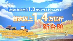 核心 决心2024！本年我国粮食产量初次跨越14万亿