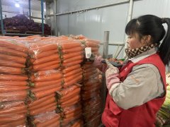 不少蔬菜生果进了垃圾桶若何削减损耗华侈？
